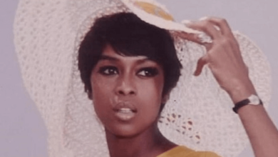 Lola Falana Net Worth