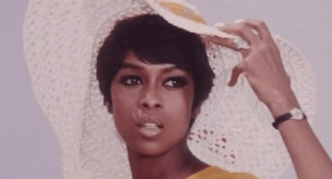 Lola Falana Net Worth