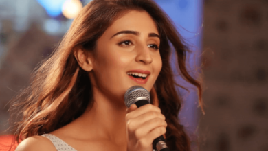 Dhvani Bhanushali Net Worth