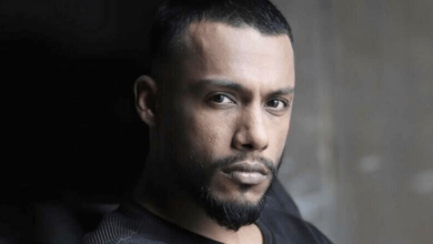 Dino James Net Worth