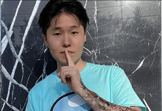 Disguised Toast Net Worth
