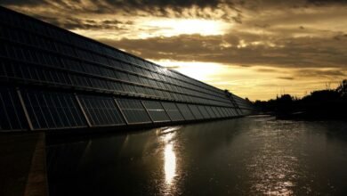 lithium investment for sustainability