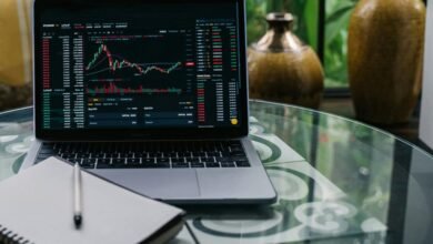 long term stock investment picks