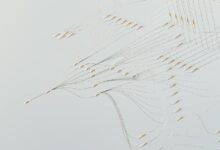 call connections by area