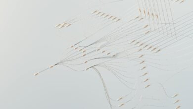 call connections by area