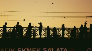 peak hour identification analysis