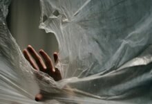 caller watchdog committee numbers