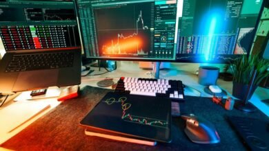 network fraud identification process