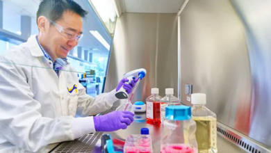 The Role of Supplements in Enhancing Cell Culture Performance