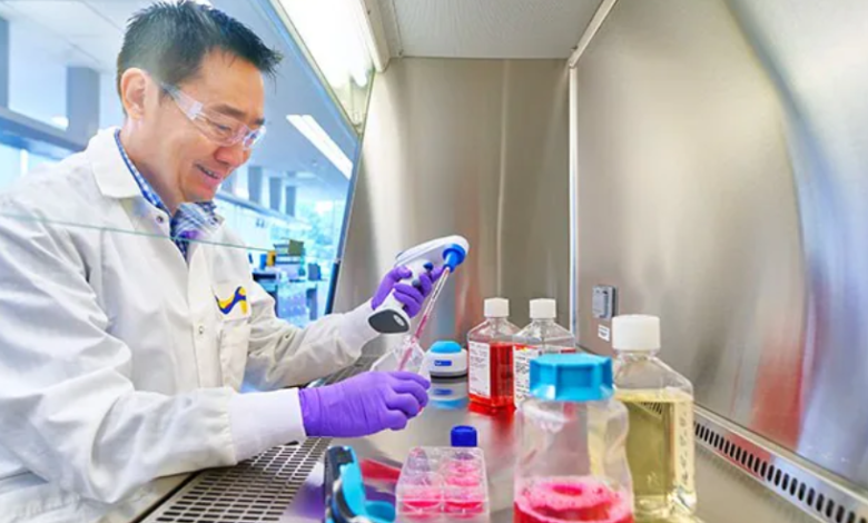 The Role of Supplements in Enhancing Cell Culture Performance